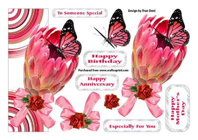 Protea - a Vision in Pink