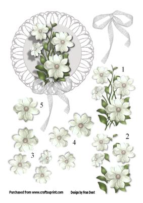 White Flowers and Lace