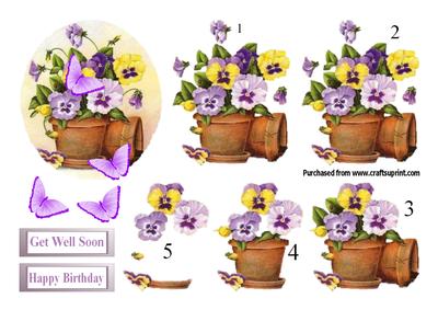 Pansies and Flower Pots