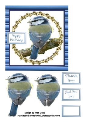 Blue Tit Birthday Card
