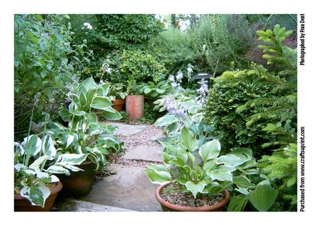 The Hosta Walk 3