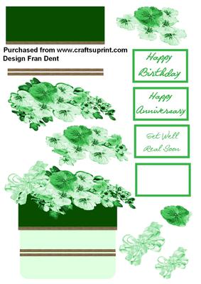 Green Box Step by Step Card