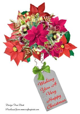 Poinsettias and Christmas Roses