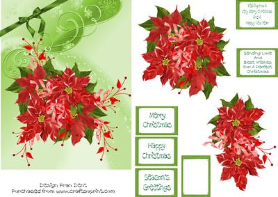 Red Poinsettia