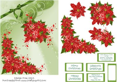 Red Poinsettia 2