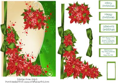 Red Poinsettia 3