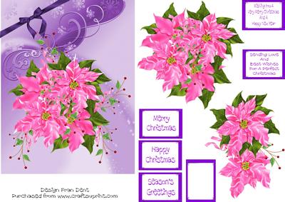 Pink Poinsettia on Purple.
