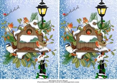 Christmas with the Robins and Friend