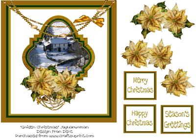 Golden Poinsettias