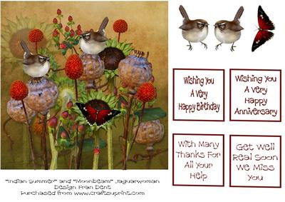 Wrens Amongst the Seed Heads
