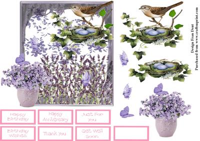 Living Amongst the Lavenders