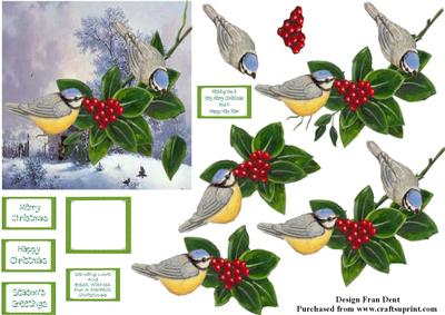 Blue Tits Amongst the Holly Berries