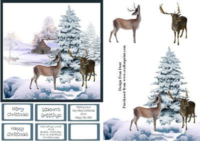 Deer in Snow