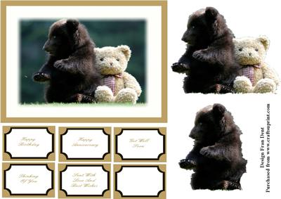 Who's Your Friend Teddy?