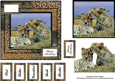 The Cheetah's Kiss