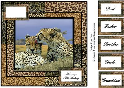 The Cheetah's Kiss 8x8