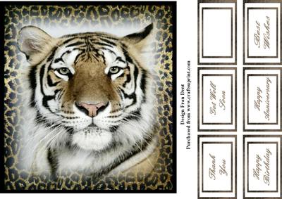 Bengal Tiger Topper 8x8