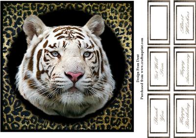 White Bengal Tiger 8x8 Topper