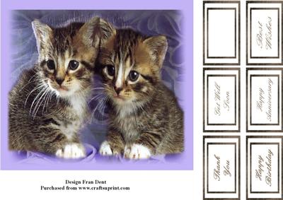 Cute Kittens 2 8x7 Topper