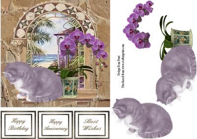 Cat and Purple Orchid