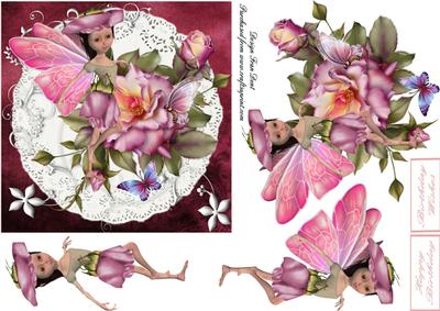 Fairy Rose on Lace