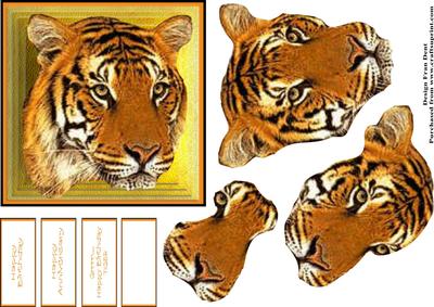 Grrrr - happy Birthday Tiger