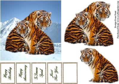 Tigers in the Snow Step by Step