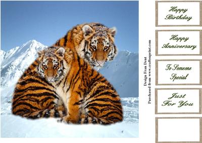 Tigers in the Snow 8x8 Topper