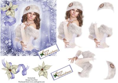 Beauty in Blue Snowflake Frame