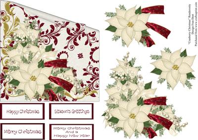 White Poinsettia