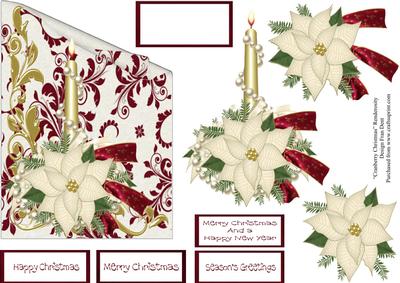 White Poinsettia and Candle