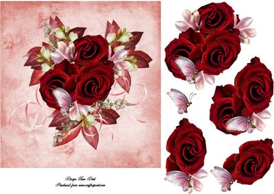 Roses for Any Occasion