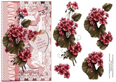 Mother's Day Geraniums
