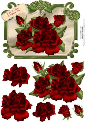 Red Roses for Valentine's Day