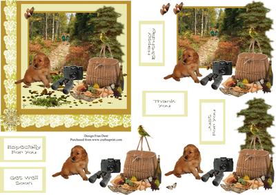 A Picnic in the Woods Step by Step