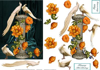 Step by Step Birds of a Feather