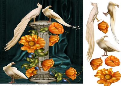 8x8 Birds of a Feather with Step by Step