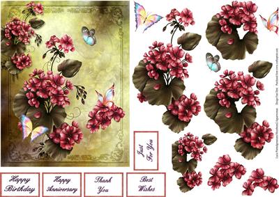 Geraniums and Butterflies Step by Step