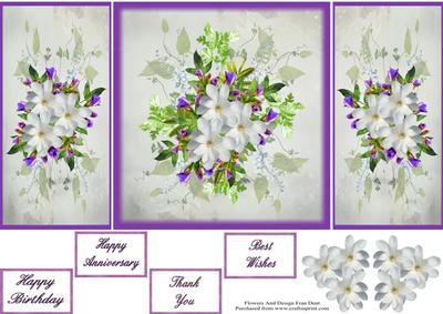 Magnolia Stellarta Gatefold