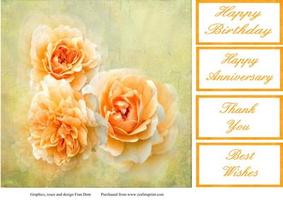 Peach Roses 8x8 Topper