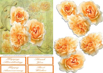 Roses, Butterflies and Swirls Step by Step