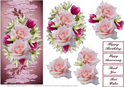 Pink and White with Lace Dl