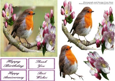 Robin in the Apple Tree Step by Step