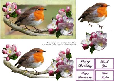 Robin in the Apple Tree Dl with Decoupage