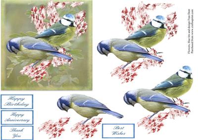 Blue Tits and Blossoms Step by Step