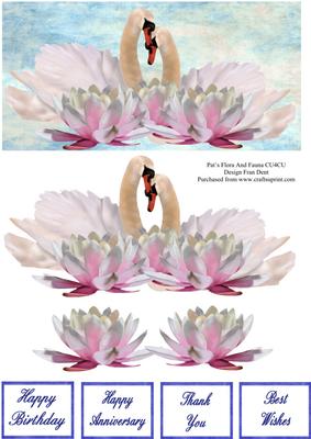 Swans and Waterlilies Dl