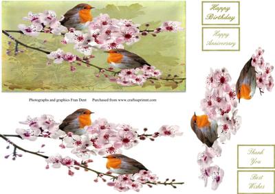 Robins and Almond Blossom Dl