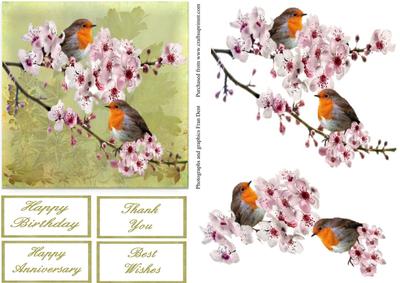 Robins and Almond Blossom Step by Step