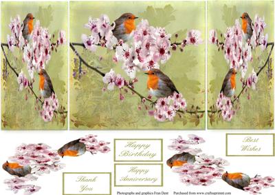 Robins and Almond Blossom Gatefold with Decoupage