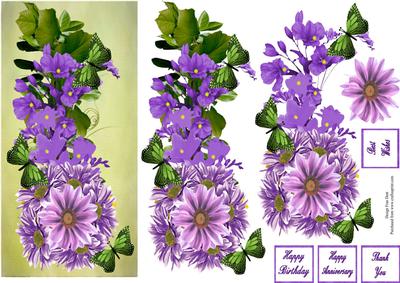Purple Floral Splender Dl